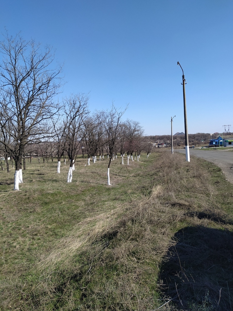 Ленинградская область поселок дзержинского погода