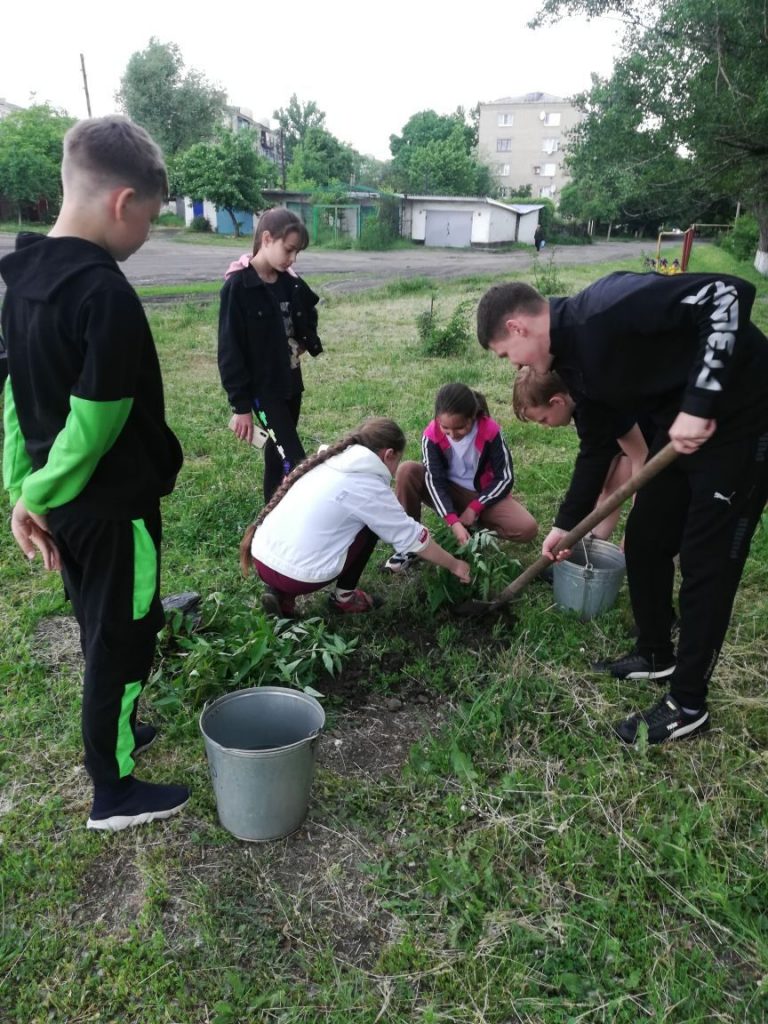 садим дерево