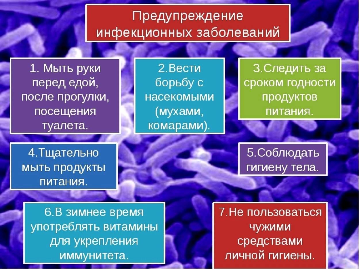 Презентация на тему инфекционные заболевания и их профилактика