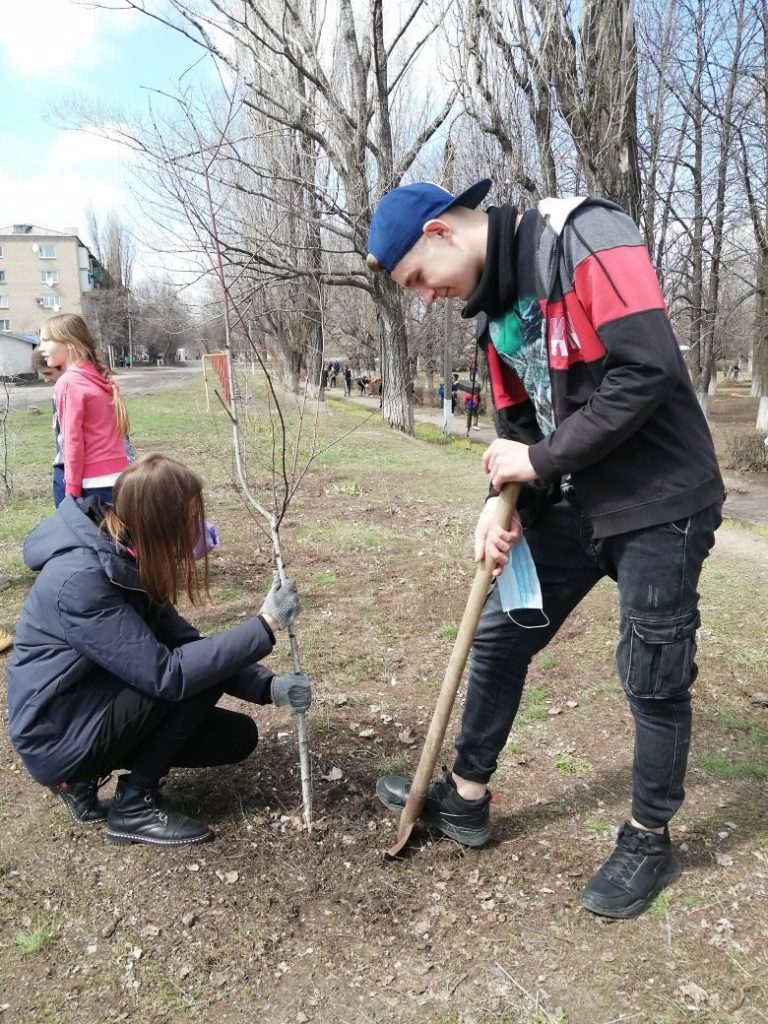 садим деревья