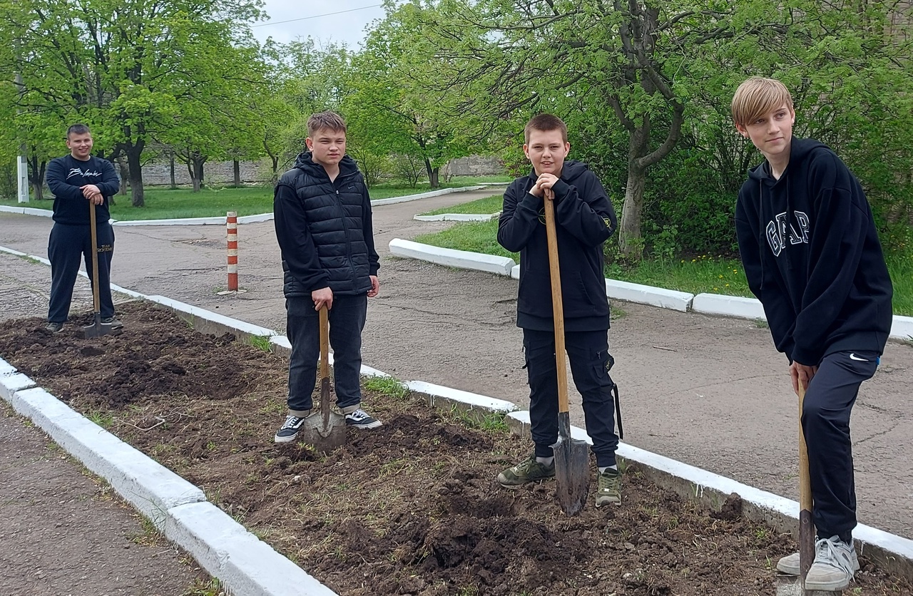 Ровеньковская школа 3. Школа 3 Ровеньки. Посадка деревьев. Аллея славы в школьном дворе. Аллея славы в школе.