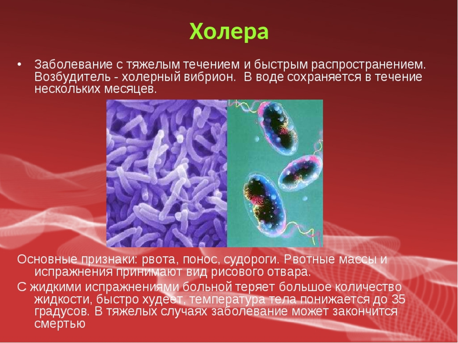 Особо опасные инфекции холера презентация